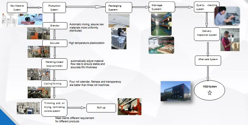 PET film production process